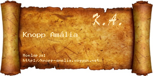 Knopp Amália névjegykártya